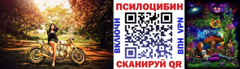 Псилоцибиновые грибы GOLDEN TEACHER  mega рабочий сайт  Зарайск 